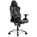 AKRacing（エーケーレーシング） オフィスチェア （レイブン） AKレーシング Premium Gaming Chair Low Edition AKR-PREMIUM/L-RAVEN