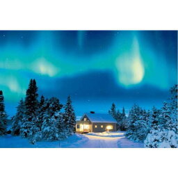 エポック社 世界の風景 神秘の夜・オーロラ - スウェーデン 1000ピース【09-014】 ジグソーパズル
