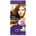 白髪染め サロンドプロ 泡のヘアカラー エクストラリッチ3 ダリヤ S アワヘアカラ-ER3