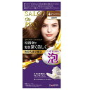 白髪染め サロンドプロ 泡のヘアカラー エクストラリッチ4P ダリヤ S アワヘアカラ-ER4P
