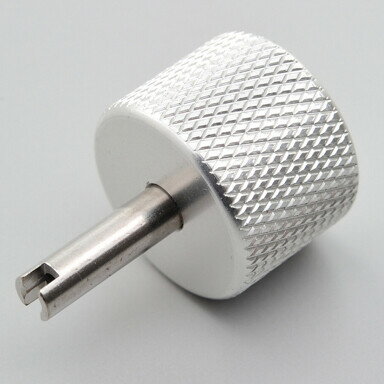 �ǥ��ȥ� �Х�֥����󤷡�����ߥ���å� 75656 DAYTONA