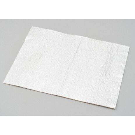 �ǥ��ȥ� ��Ǯ���饹������ ����ߥ������� 300mm��400mm 96243 DAYTONA