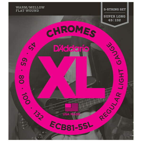 ECB81-5SL ꥪ 쥭١5-String/Super Long D'AddarioXL CHROMES (FLAT WOUND)