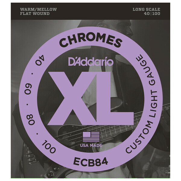 ECB84 ꥪ 쥭١Long D'AddarioXL CHROMES (FLAT WOUND)