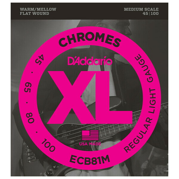 ECB81M ꥪ 쥭١Medium D'AddarioXL CHROMES (FLAT WOUND)