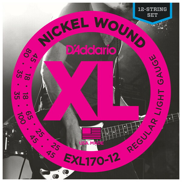 EXL170-12 ꥪ 쥭١12-String/Long D'AddarioXL NICKEL