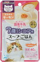 猫ちゃんの国産牛乳を使ったスープごはん ささみ&サーモン シニア用 40g ドギーマンハヤシ ネコス-プゴハンSSシニア40G