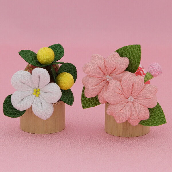 京都 リュウコドウ 桜橘 木製丸台9 026-0219 おひなさま 雛人形 ひな人形 [0260219オヒナサマ]