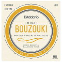 EJ81 ダダリオ アイリッシュ・ブズーキ弦(Irish Bouzouki) D'Addario Other World Instruments