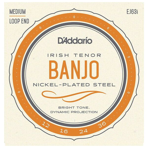 EJ63I ꥪ Х󥸥硼Irish Tenor Banjo Nickel Plated 12-36 D'AddarioNICKEL-PLATED STEEL