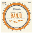 ダダリオ バンジョー弦(Irish Tenor Banjo Nickel Plated 12-36) EJ63I D'Addario NICKEL-PLATED STEEL