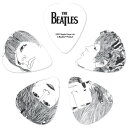 1CWH6-10B1 プラネットウェイヴス ピック 10枚セット PlanetWaves 10pc BEATLES-PICK-REVOLVER- Heavy