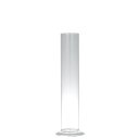 ダルトン 花瓶 45-710305 ダルトン(DULTON) ガラスベース プロベータ S CK103 GLASS VASE ''PROBETA'' S