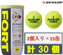 テニス　ボール　硬式　ダンロップ　フォート DUN-DFEYL2TIN ダンロップ 硬式テニス用ボールDUNLOP FORT(ダンロップ フォート) 2球入りボトル×15缶セット