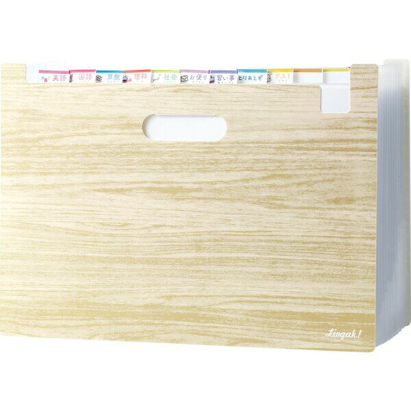 ソニック ぽい分けボックスファイル リビガク（13ポケット ） LV-6276-I