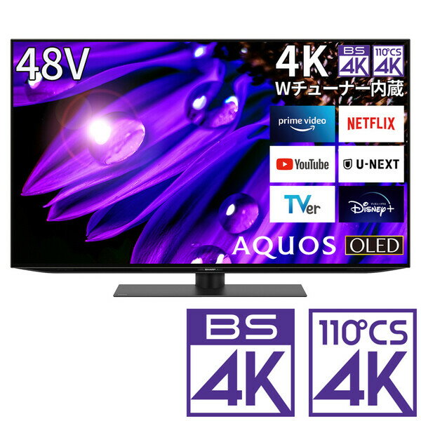 （標準設置料込_Aエリアのみ）テレビ 48型 4T-C48EQ2 シャープ 48型 有機ELパネル 地上 BS 110度CSデジタル4Kチューナー内蔵テレビ (別売USB HDD録画対応) Google TV 機能搭載4K対応AQUOS