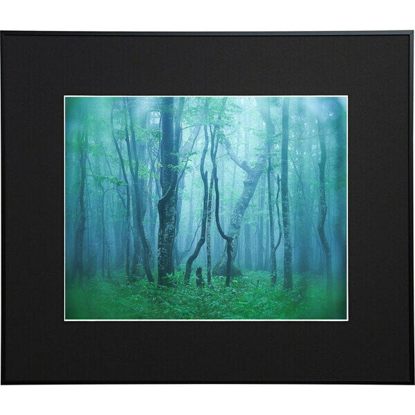 ケンコー アルミ額縁 ギャラリー 半切（ブラック） AGY-H-BK Kenko Tokina