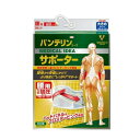 バンテリン加圧サポーター腰用固定大きめブルーグレー 興和 Vサポカアツコシオオキメブル-G