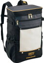 ゼット プロステイタス スクエアデイパック(ホワイト×ダークネイビー・容量:約35L) Z-BAP4021-1130 ZETT