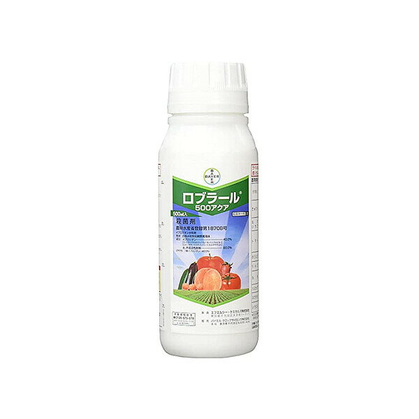 BA-2056681 oCG Eۍ u[500ANA 500ml