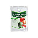 プロピネブ水和剤 BA-2056617 バイエル 殺菌剤 アントラコール 顆粒水和剤 1kg プロピネブ水和剤