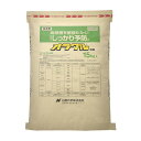 アミスルブロム粉剤 NK-2057447 日産化学 殺菌剤 オラクル粉剤 15kg アミスルブロム粉剤