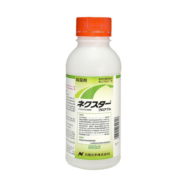 C\sUa NK-2057495 Yw Eۍ lNX^[ tAu 500ml C\sUa