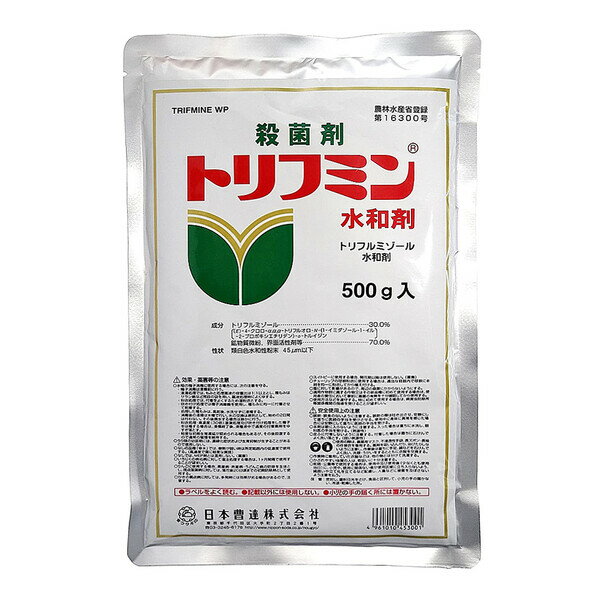 gt~][a NS-2056306 {B Eۍ gt~a 500g gt~][a