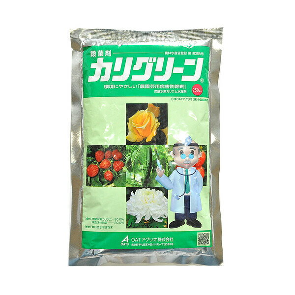 Y_fJEn OA-2056356 OATAOI Eۍ JO[ 250g Y_fJEn