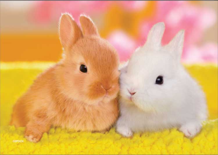 エポック社 アニマル ほっぺがぴったんこ（ミックス） 108ピース【03-083】 ジグソーパズル