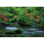 やのまん 日本の風景 涼感を呼ぶ奥入瀬渓流(青森) 108ラージピース ジグソーパズル 1,155円