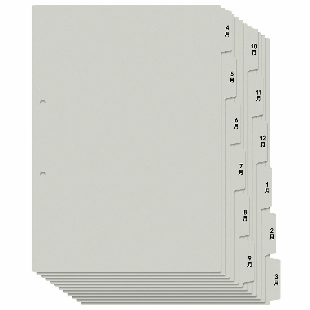 プラス 『たすけあ』 12ヶ月 印字済みインデックス A4 6山 2穴（グレー） FL-809IS(98080)