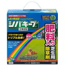 シバキーププラスV　2kg レインボー薬品 シバキ-ププラスV2KG