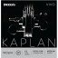 KV310 1/2M ꥪ Х󸹡å D'AddarioKaplan Vivo Violin Strings