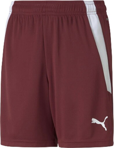PJ-705145-09-140 プーマ ジュニア TEAMLIGA ゲームパンツ(コードバン/プーマホワイト・サイズ:140) PUMA PJ-705145-09-140 プーマ ジュニア TEAMLIGA ゲームパンツ(コードバン/プーマホワイト・サイズ:140) PUMA