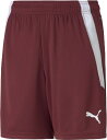 プーマ ジュニア TEAMLIGA ゲームパンツ(コードバン/プーマホワイト・サイズ:150) PJ-705145-09-150 PUMA