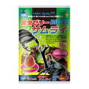 昆虫 クワガタ カブトムシ 昆虫ゼリー サムライBIG48 16g×50個入 マルカン コンチユゼリ-サムライBIG48 50