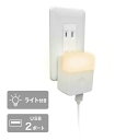 CHAC24L-WT トップランド ライト付きUSBアダプタ（USB2ポート） TOPLAND 