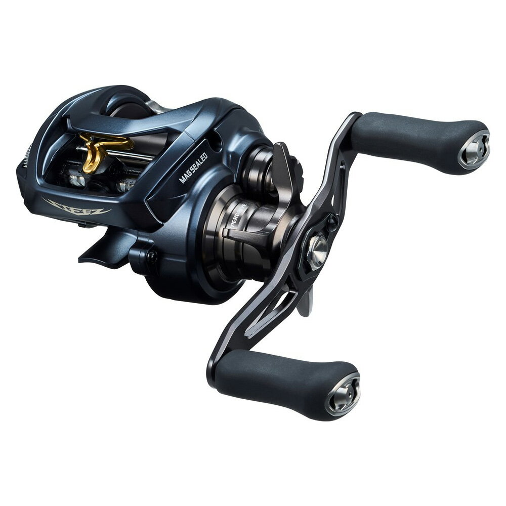 22スティーズ A II TW 1000HL ダイワ 22 スティーズ A II TW 1000HL 左ハンドル DAIWA STEEZ A II TW