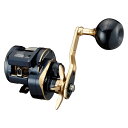 21 \eBK IC 300L _C 21 \eBK IC 300L nh DAIWA 21 SALTIGA IC WMO[