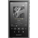 NW-A307-H \j[ EH[N} A300V[Y 64GBiO[j SONY Walkman