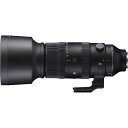 60-600MMDGDN_OS_S_SE シグマ 60-600mm F4.5-6.3 DG DN OS ※ソニーFEマウント用レンズ(フルサイズミラーレス対応)
