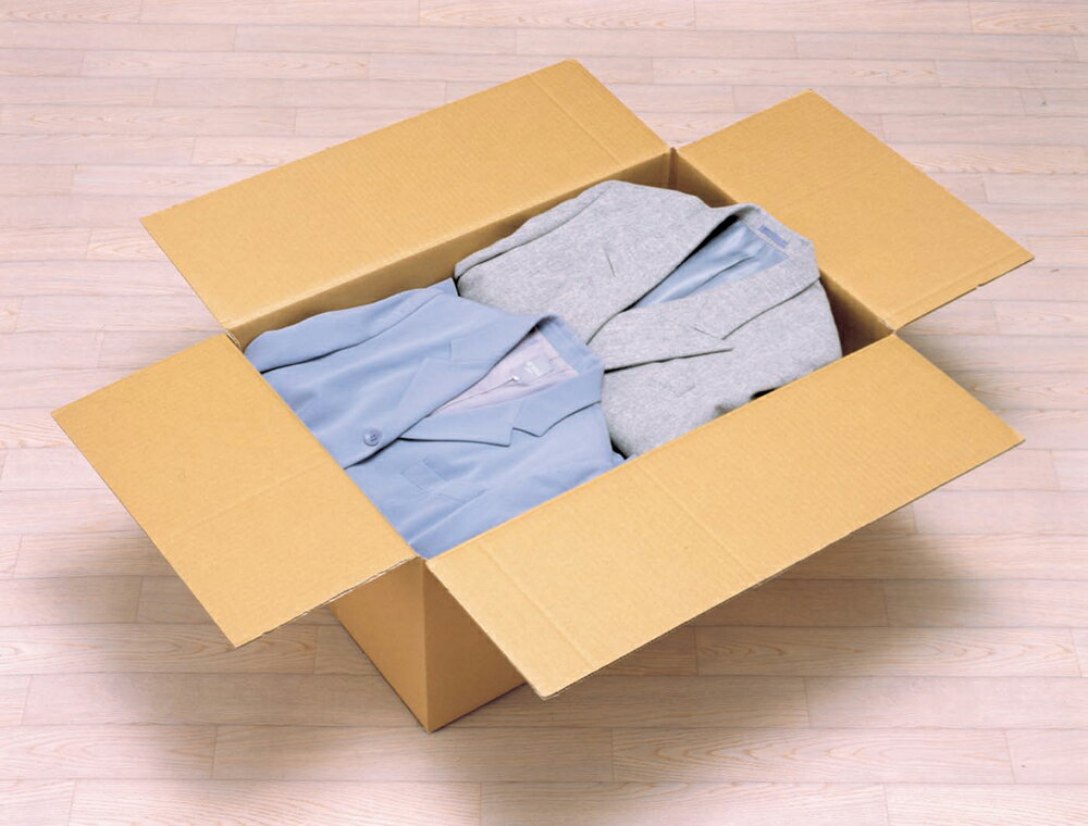 ダンボール 箱 段ボール DB-L4(IRIS) アイリスオーヤマ ダンボールBOX (幅66×奥行44×高さ29.6cm)【10個セット】 IRIS