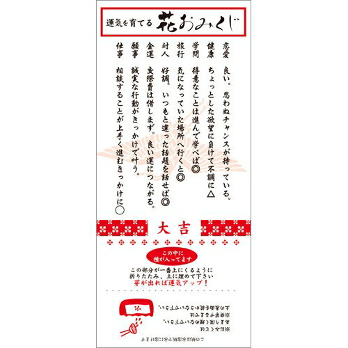 聖新陶芸 おみくじたまご混合　栽培セット EG-18 聖新陶芸　SEISHIN　栽培キット　...