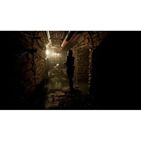 Joshin web 家電とPCの大型専門店のSOFT SOURCE 【PS5】TORMENTED SOULS 2 [ELJM-30705 PS5 ト-メンティド ソウルズ 2]｜アングル2