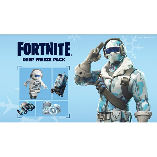 EPIC GAMES 【Switch】FORTNITE DARKFIRE ＆ ICE BANDLE　（オンライン専用） [HAC-J-AP3CACF6 NSW フォ-トナイト ダ-クファイア- ＆ アイス バンドル]