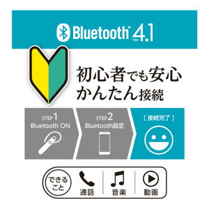 多摩電子 Bluetooth ヘッドセットVer.4.1（ブラック） AxinG TBM05SK