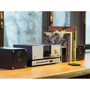 �벼���� ��ӥ󥰥����ǥ��������ƥ� SWL-A1SET2 SOUND WARRIOR
