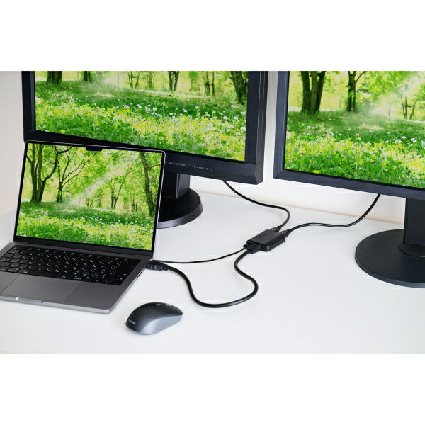 ���쥳�� HDMI ʬ�۴� 1����2���� ���ץ�å��� 4K�б� ���å�ü�� USB���ť����֥���°�ʥ֥�å��� VSP-HD4K120BK