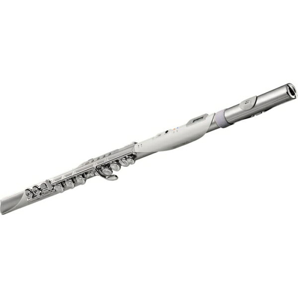 ローランド エアロフォン・ブリザ AE-BRISA Roland Aerophone Brisa jism-14681819 Joshin web 家電とPCの大型専門店 サンプル画像2